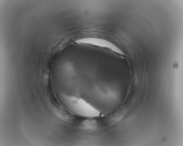 X0000091480271200709061846