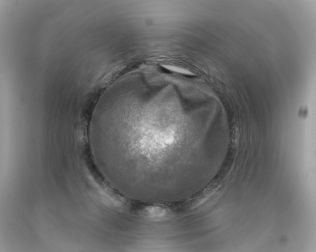 X0000091480272200709061846