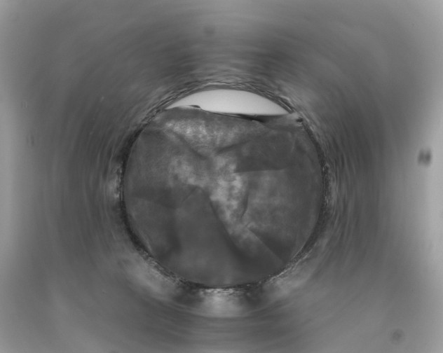 X0000091480273200709061846