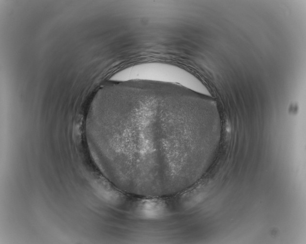 X0000091480275200709061846