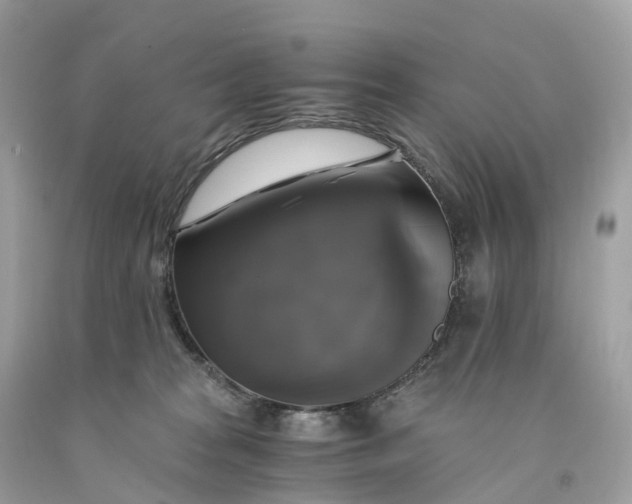 X0000091480277200709061846