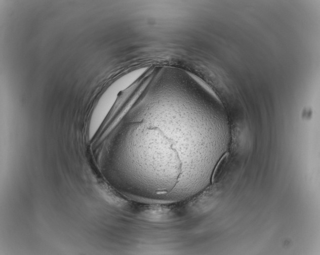 X0000091480278200709061846