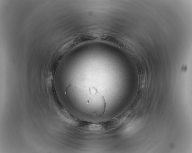 X0000091480279200709061846