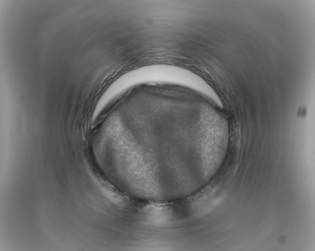 X0000091480280200709061846