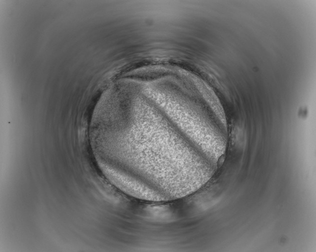 X0000091480283200709061846