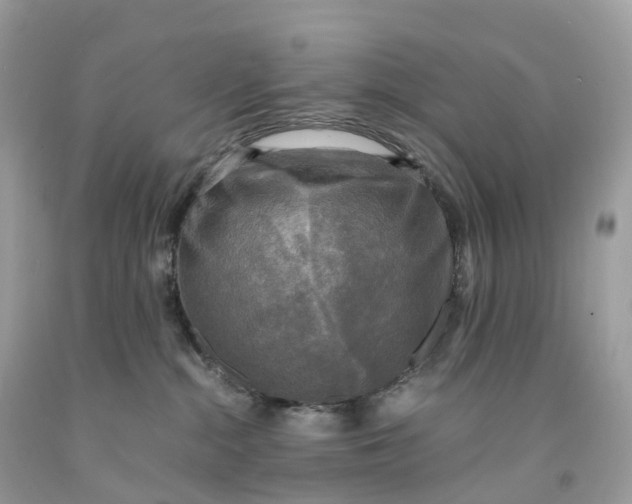 X0000091480284200709061846