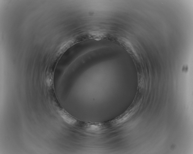 X0000091480285200709061846