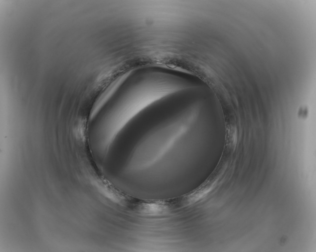 X0000091480286200709061846