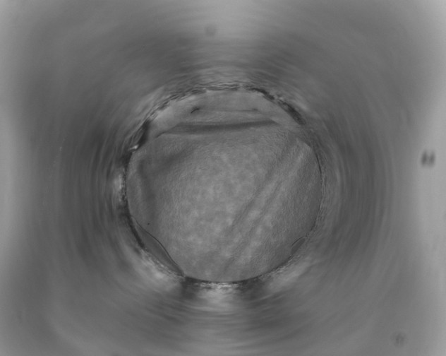 X0000091480288200709061846