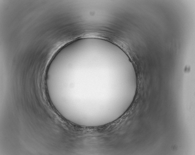 X0000091480289200709061845