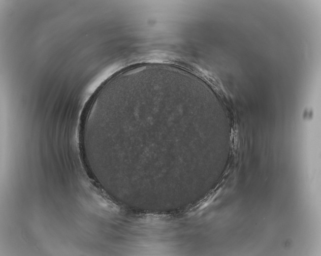 X0000091480292200709061845