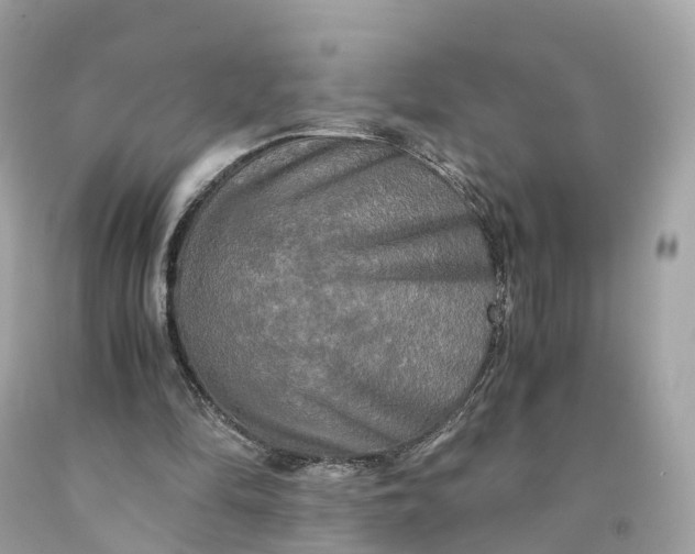 X0000091480294200709061845