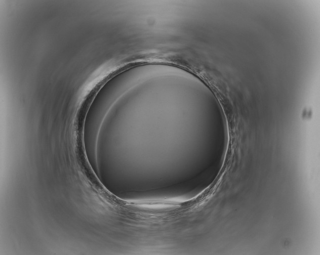 X0000091480295200709061845