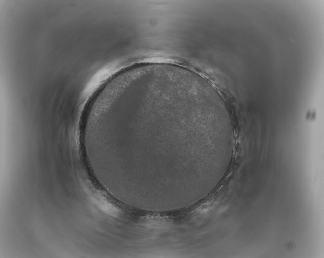 X0000091480296200709061845