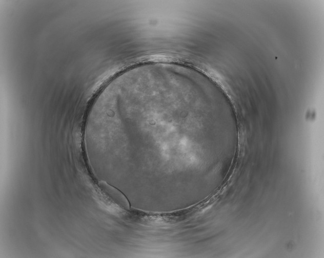 X0000091480297200709061845