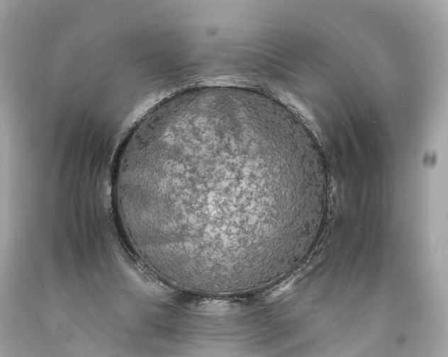 X0000091480298200709061845