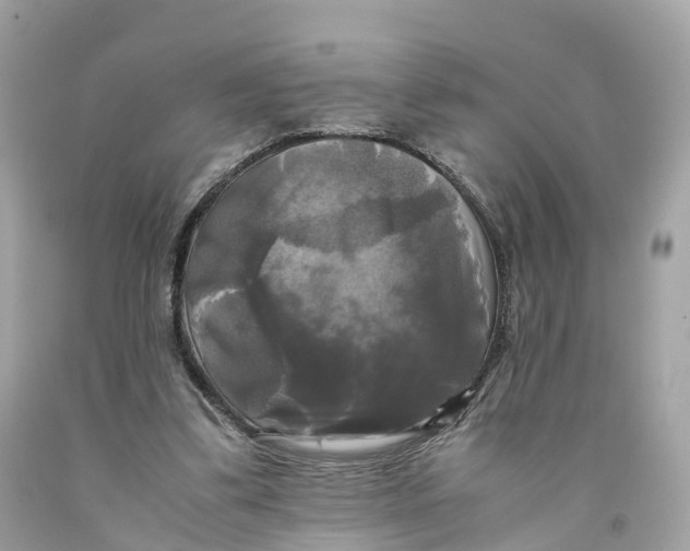 X0000091480299200709061845