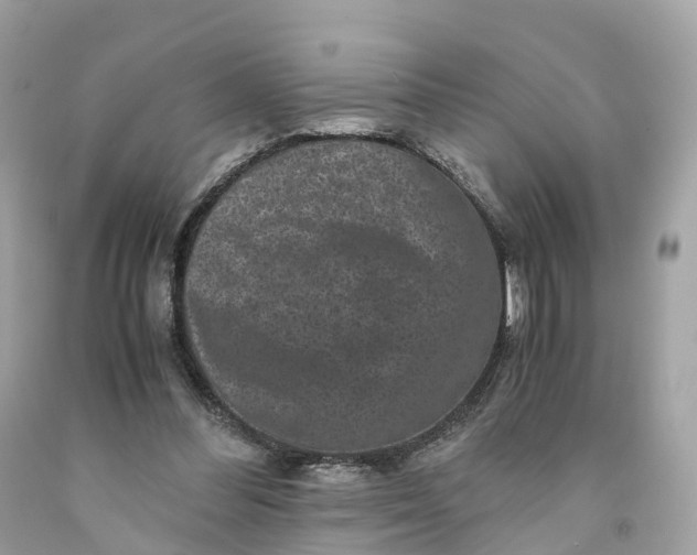 X0000091480300200709061845