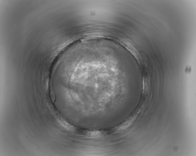 X0000091480301200709061845