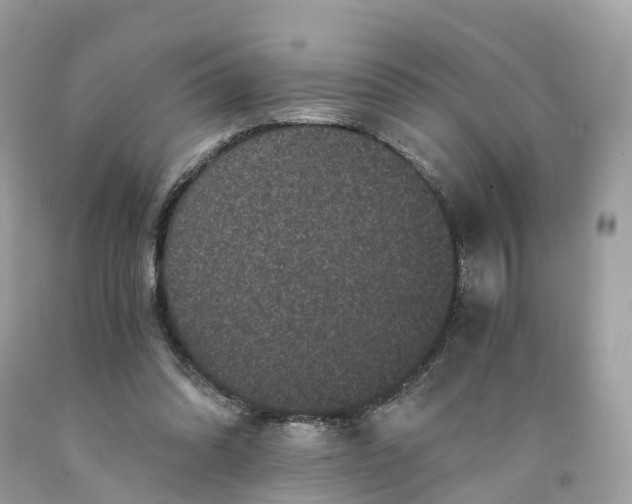 X0000091480302200709061845