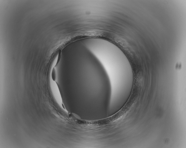 X0000091480303200709061845