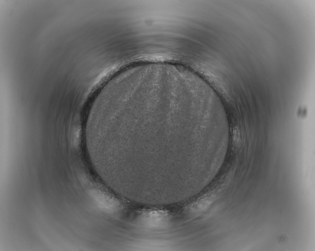 X0000091480304200709061845