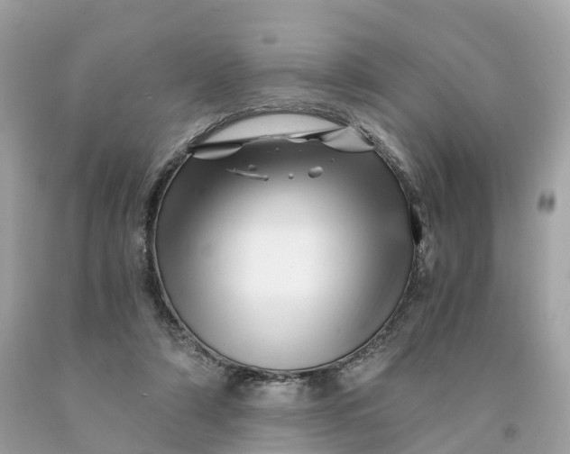 X0000091480306200709061845