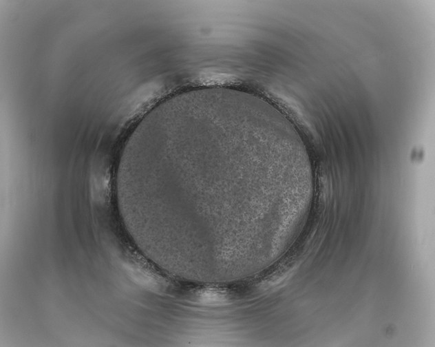 X0000091480308200709061845