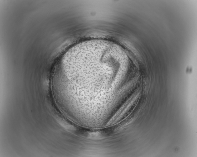 X0000091480309200709061845