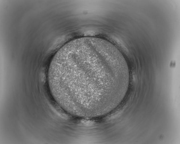 X0000091480311200709061845