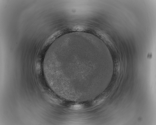 X0000091480312200709061845