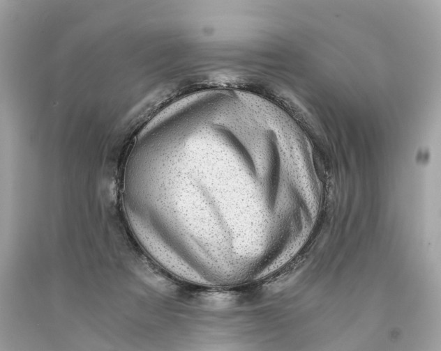 X0000091480313200709061845