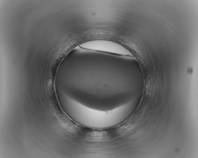 X0000091480314200709061845