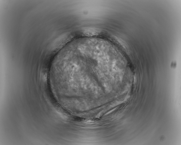 X0000091480315200709061845