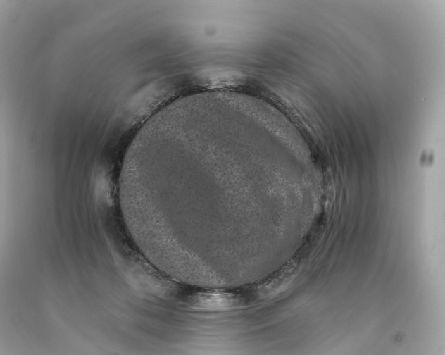 X0000091480316200709061845