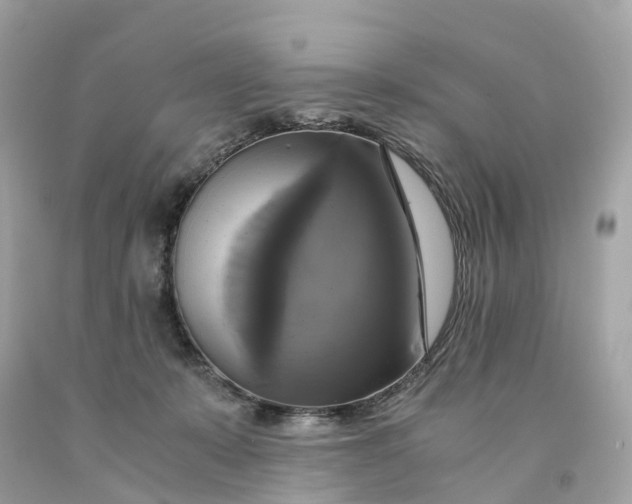 X0000091480319200709061845