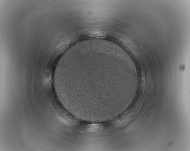 X0000091480320200709061845