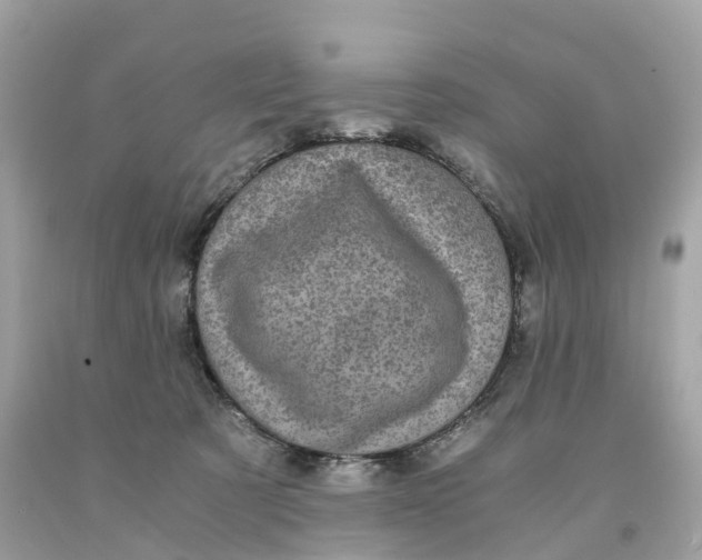 X0000091480321200709061845