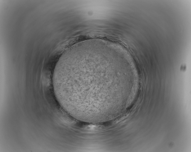 X0000091480323200709061845