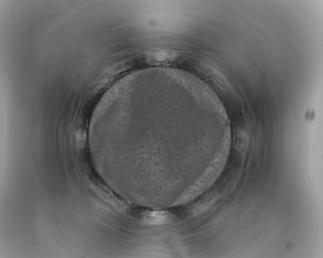 X0000091480324200709061845