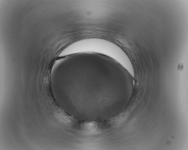 X0000091480325200709061845