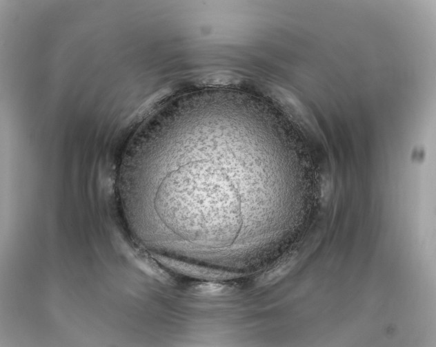 X0000091480326200709061845