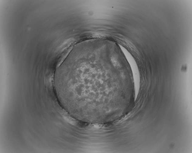 X0000091480329200709061845