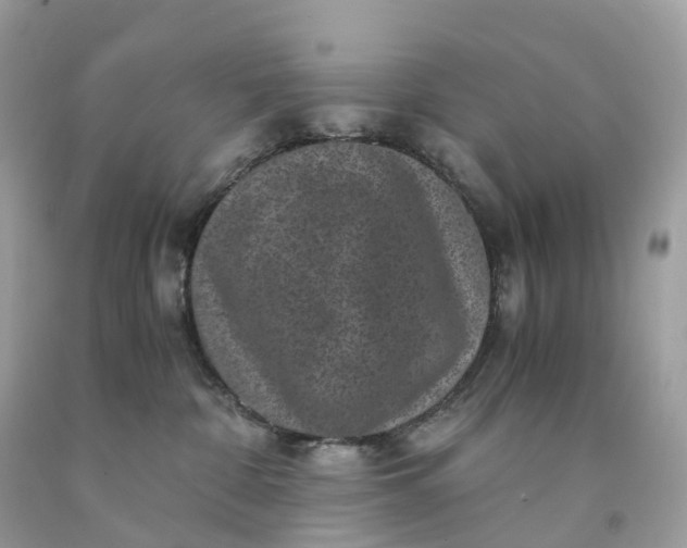 X0000091480332200709061845