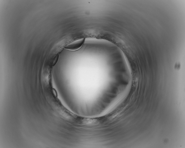 X0000091480334200709061845