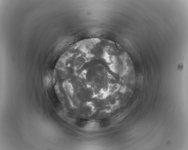 X0000091480335200709061845