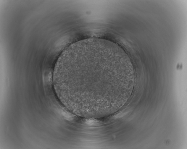 X0000091480336200709061845