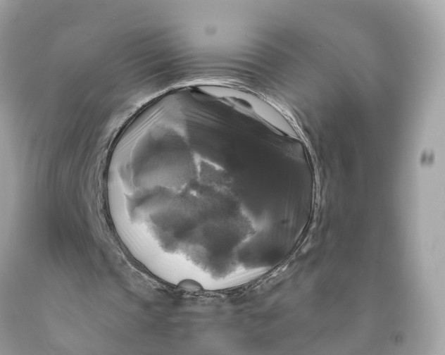 X0000091480337200709061844