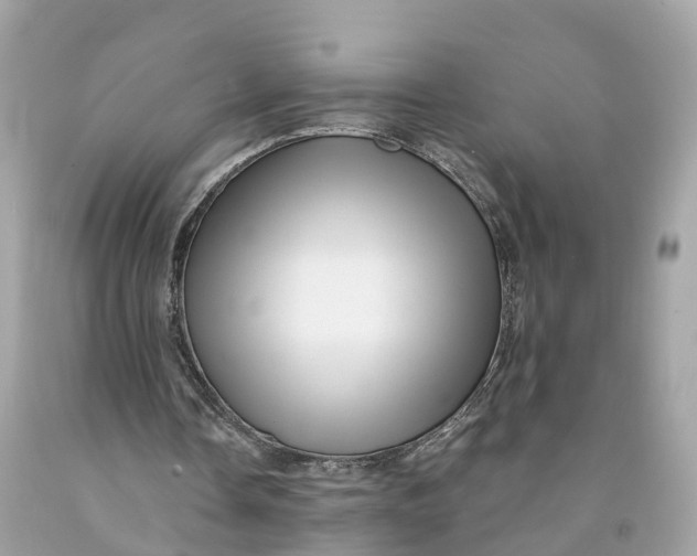 X0000091480338200709061844