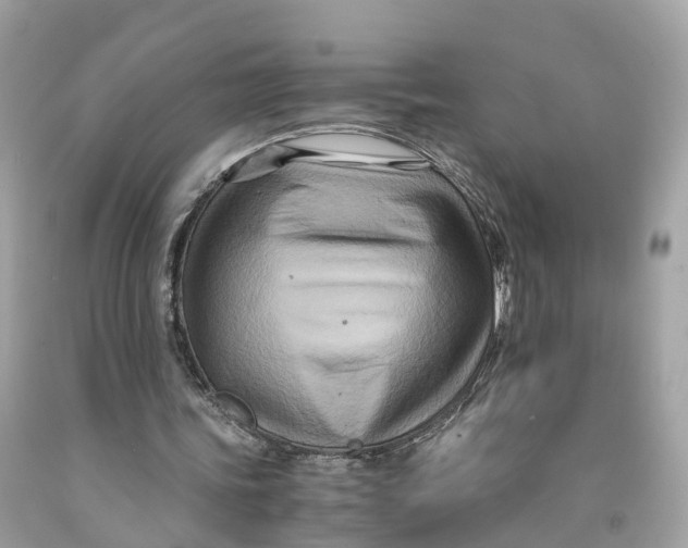 X0000091480339200709061844